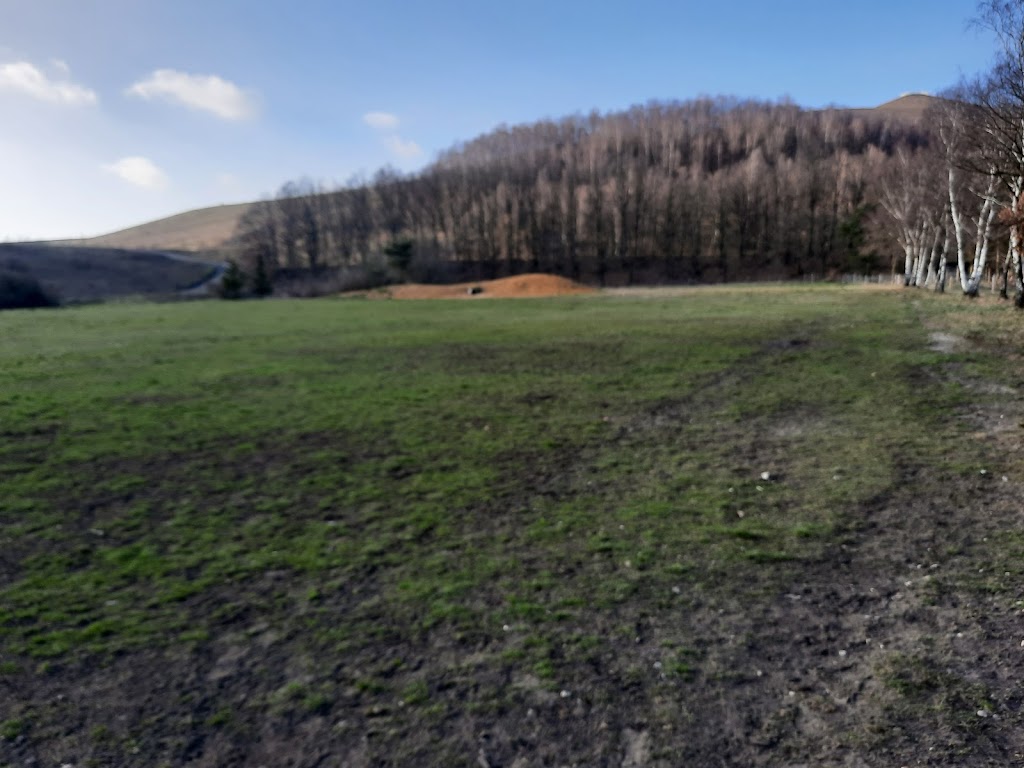 Hondenlosloopzone Klaverberg