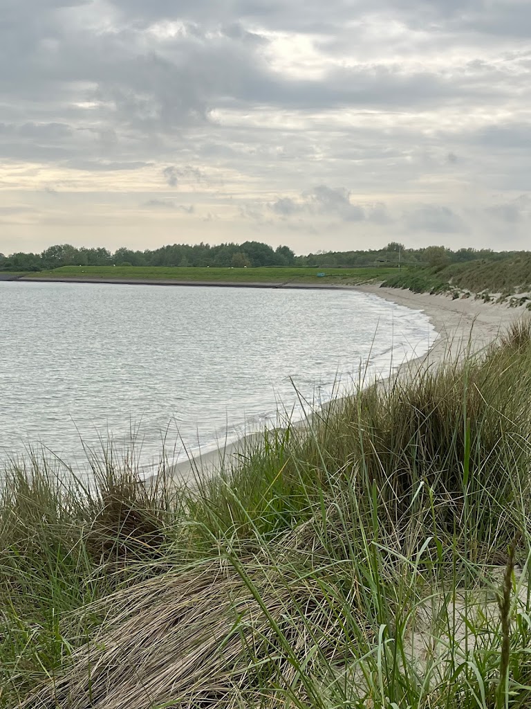 Populair Losloopstrand