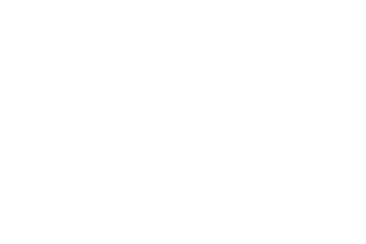 Golden dog photography