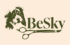 BeSky