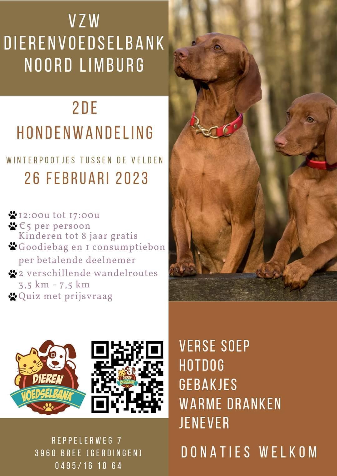 2 de hondenwandeling winterpootjes tussen de velden. | Leashr