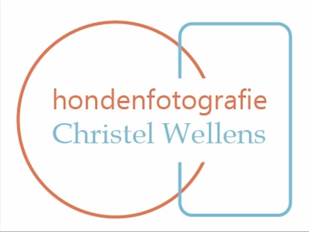 Christel Wellens Hondenfotografie