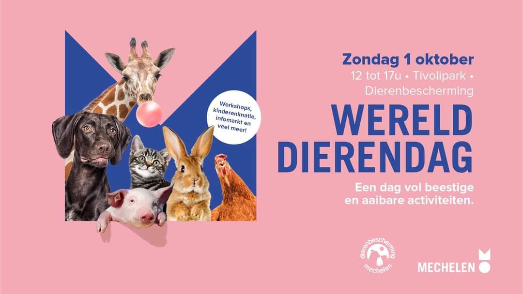 Werelddierendag Mechelen
