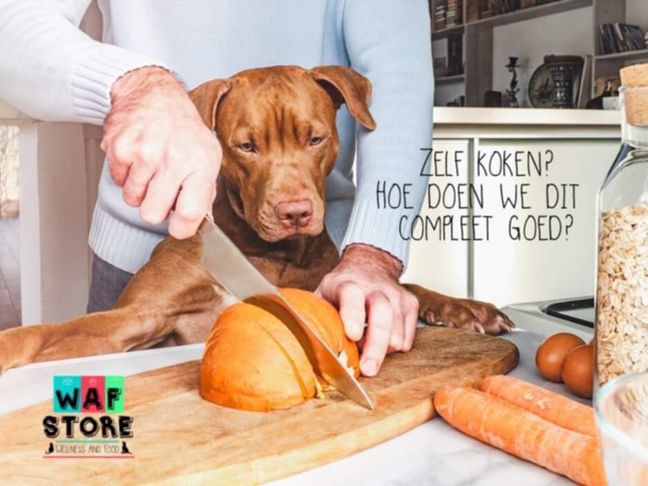 Zelf koken voor je hond. Voeding compleet maken!
