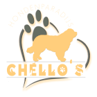 Chello's hondenparadijs