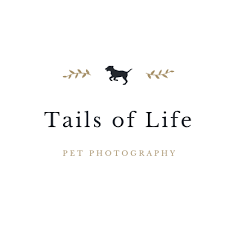 Tails of Life Photography