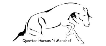 't Morehof