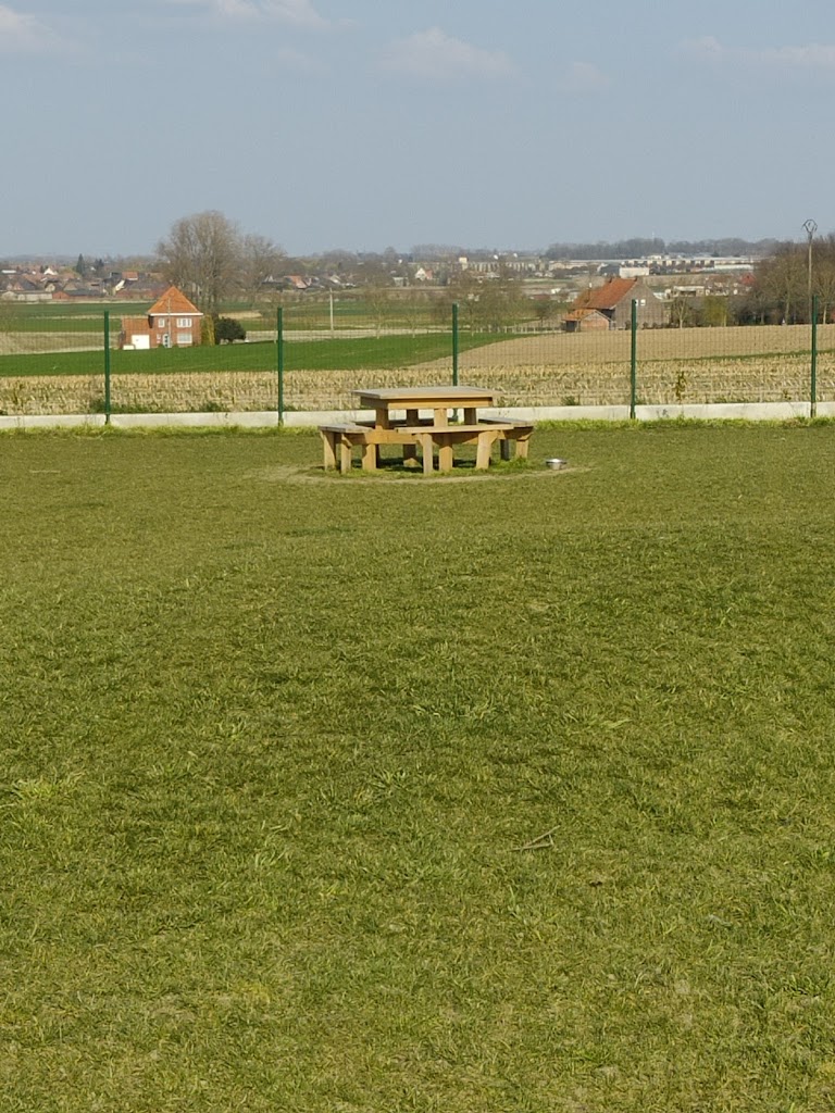 Honden losloopweide Hooglede