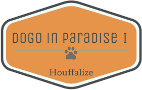 Dogo in Paradise