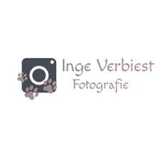 Inge Verbiest Hondenfotograaf