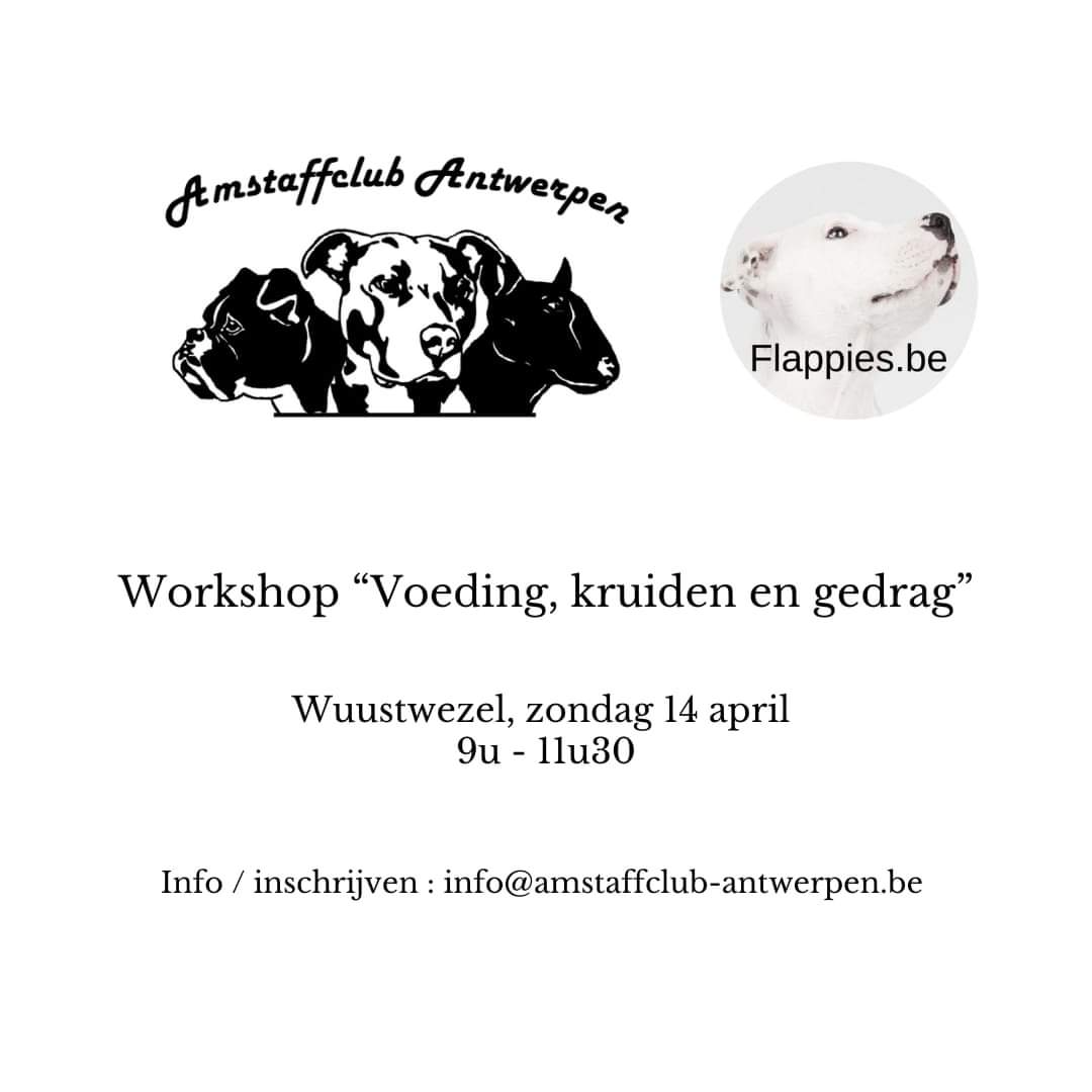 workshop "Voeding, kruiden en gedrag"