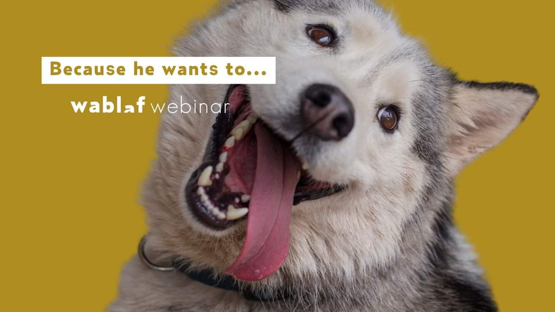 Gratis Webinar | De intrinsieke motivatie van onze honden