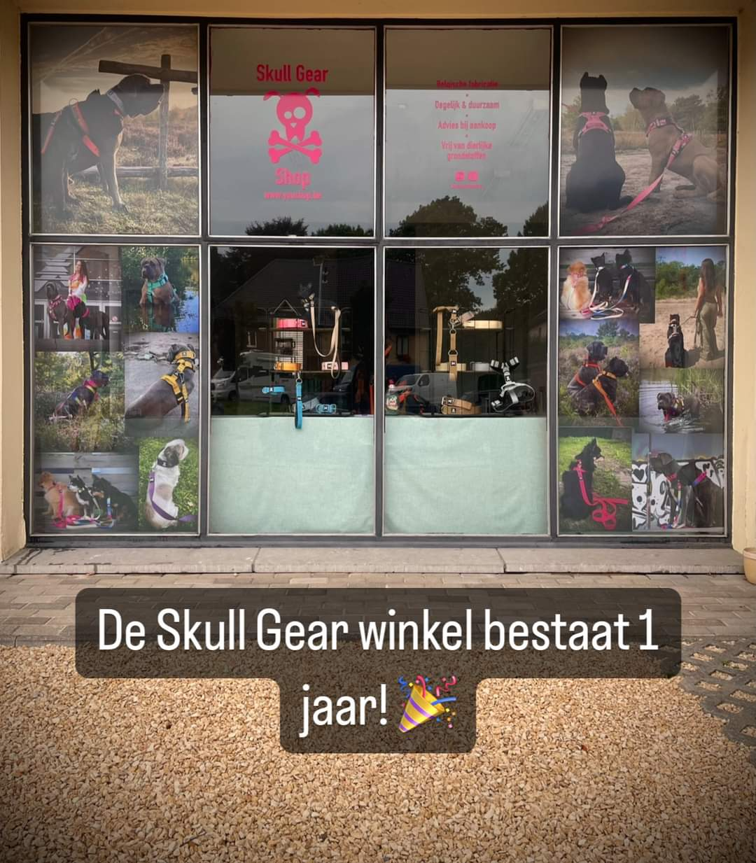 1-jarig bestaan Skull Gear winkel met gratis professioneel portret van je hond!