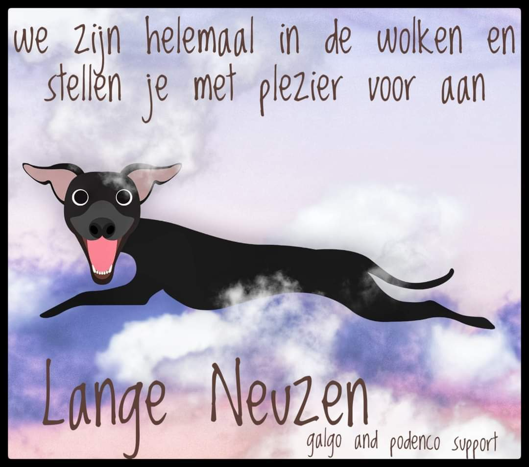 Halloween honden wandeling