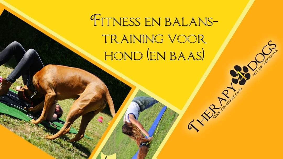Fitness en balanstraining voor hond (en baas)
