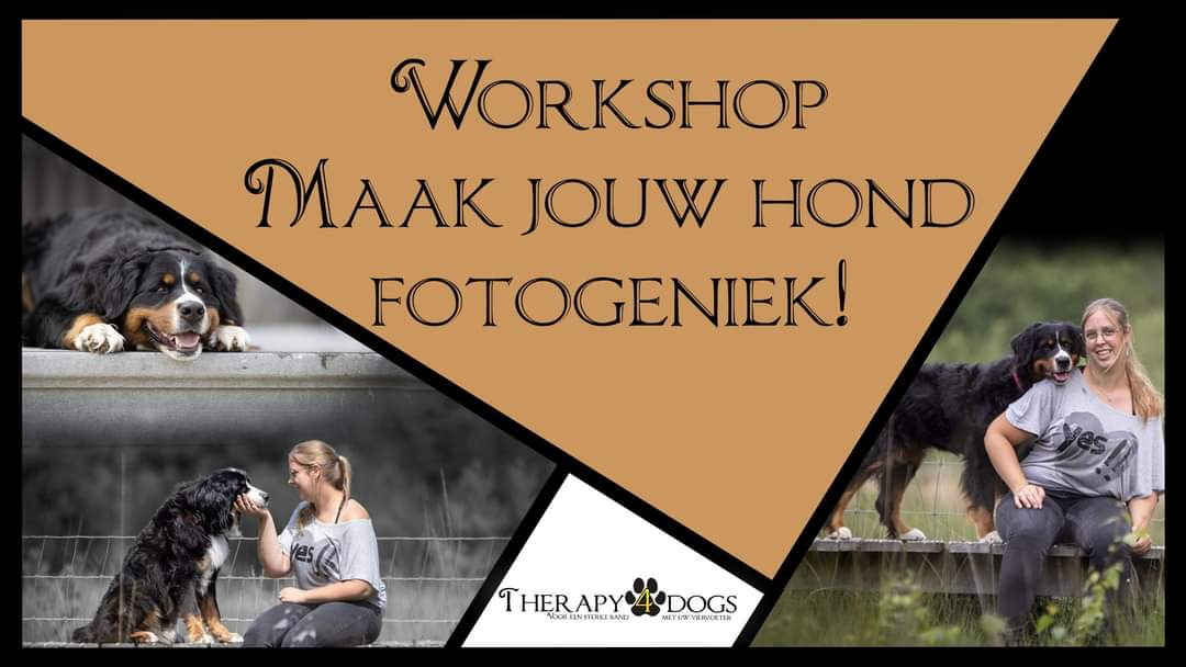 Workshop "Maak jouw hond fotogeniek!"
