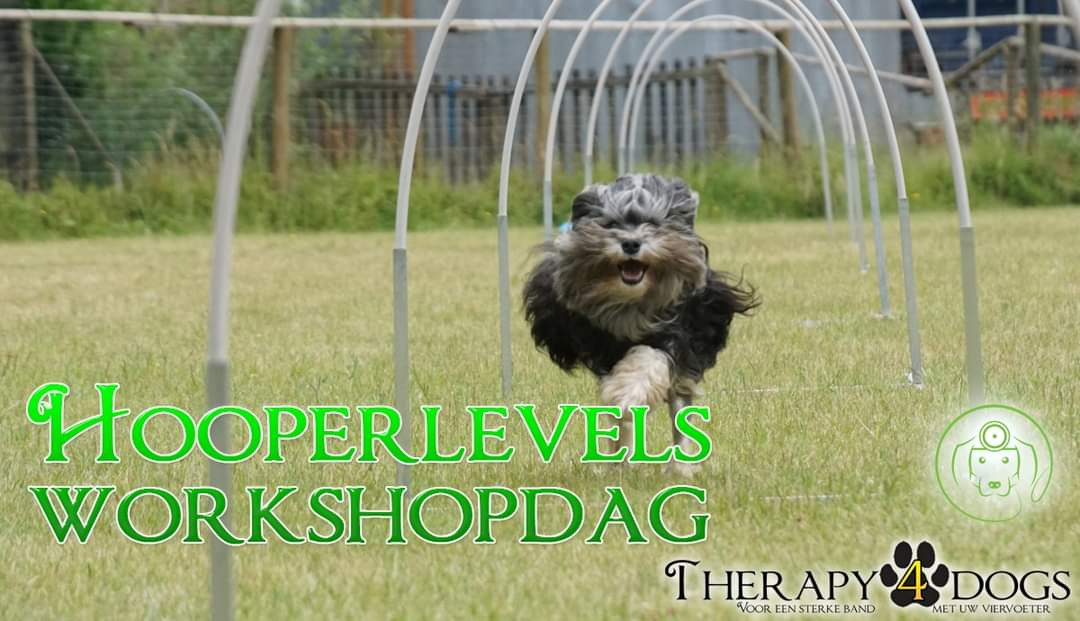 Hooperlevels Workshopdag