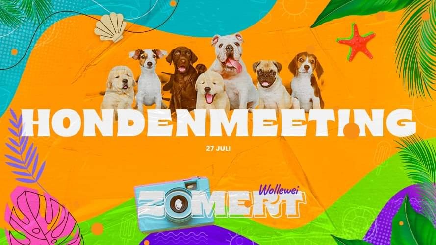 Wollewei Zomert: Hondenmeeting met gratis Snufflebier en -snacks