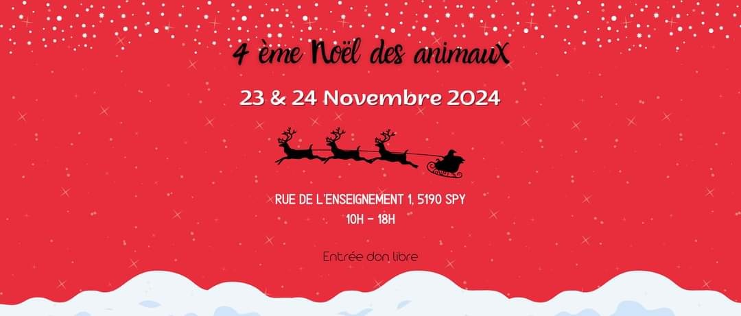 Noël des animaux - 4ème édition