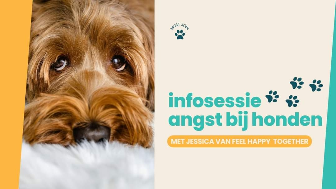 Infosessie Feel Happy Together: angst bij honden