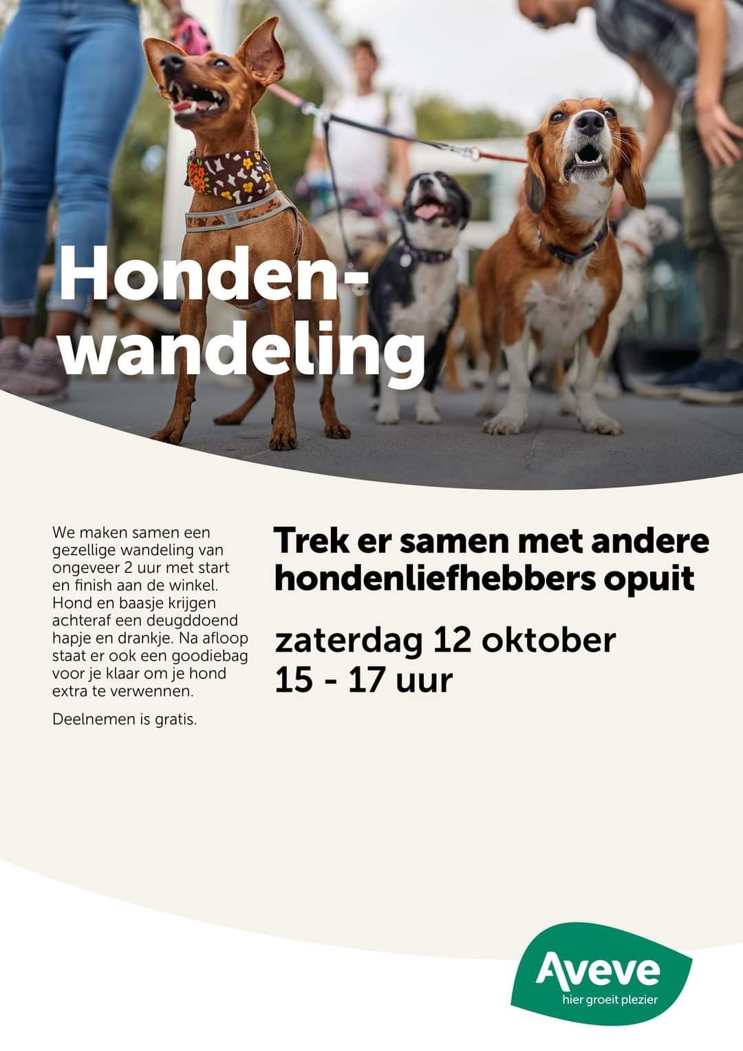 Hondenwandeling bij Aveve Beveren op 12 oktober