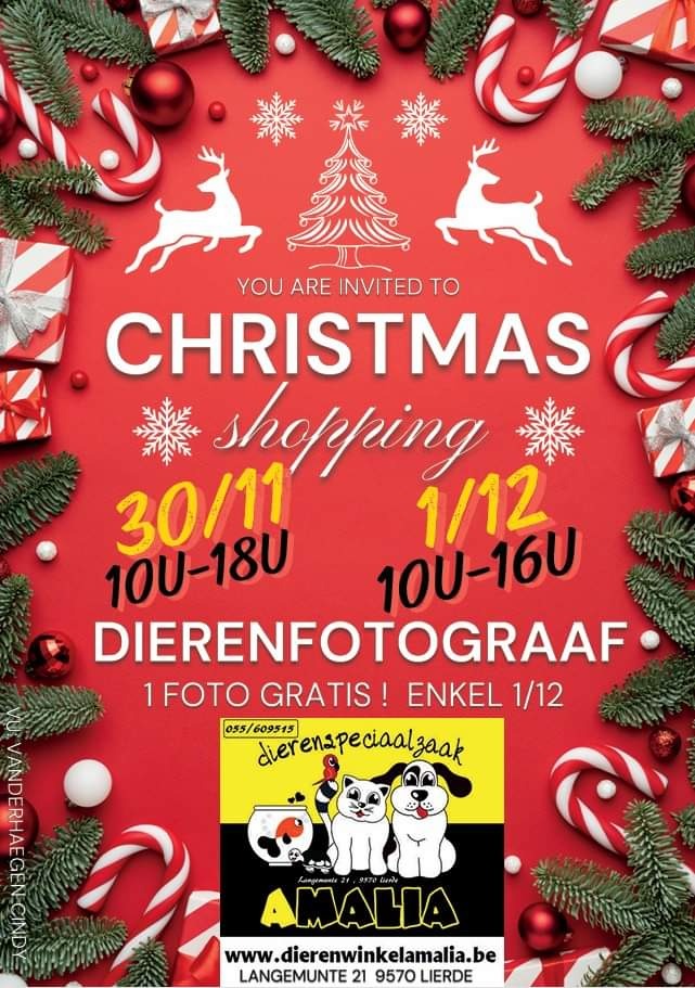 Kerst Shopping en dierenfotograaf