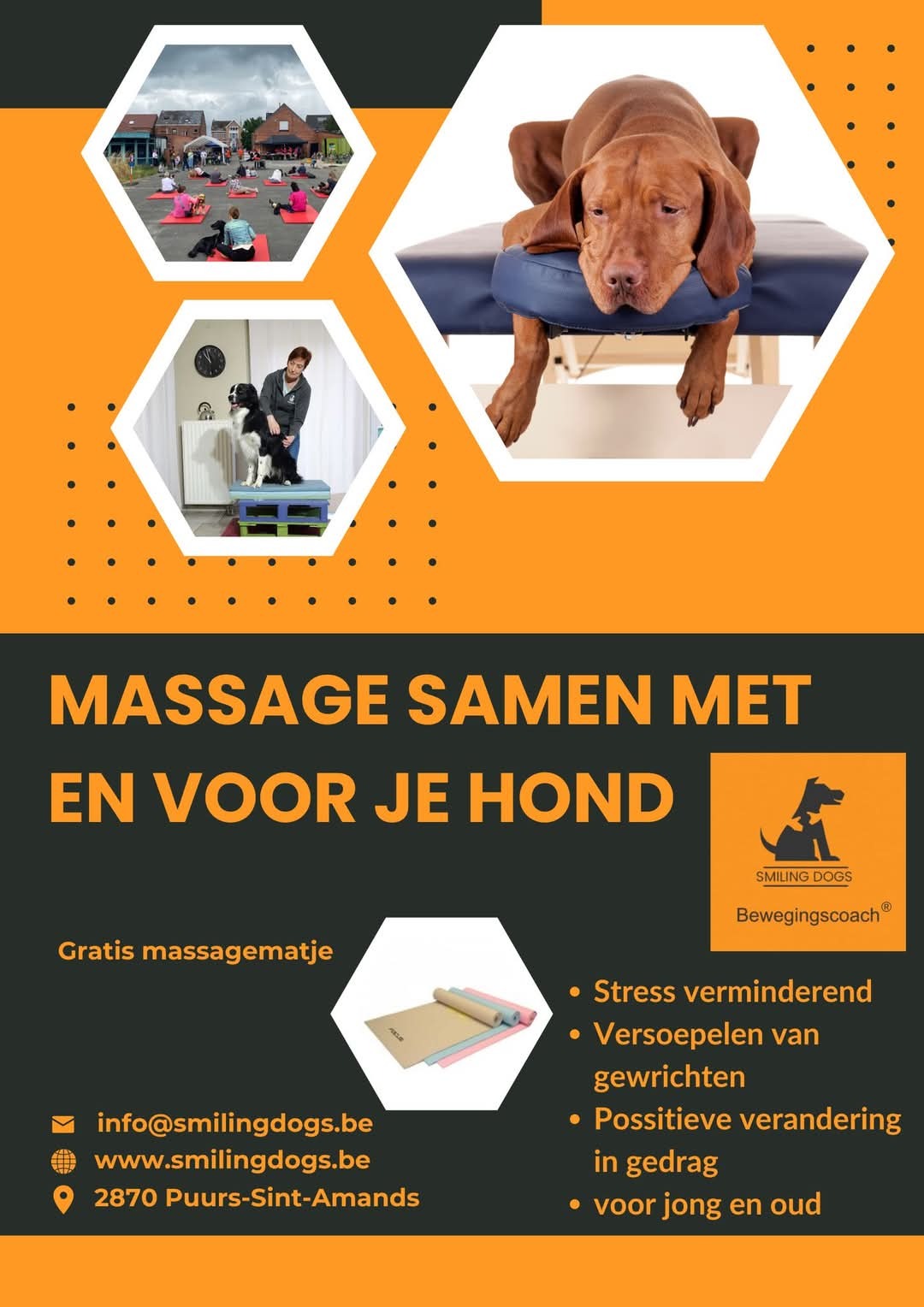 Workshop massage samen met en voor  je hond + cadeau