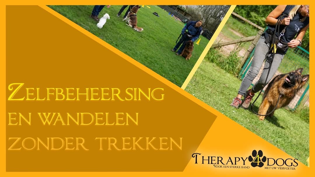 Cursus Zelfbeheersing en Wandelen Zonder Trekken