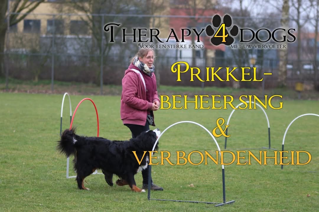 Workshop "Prikkelbeheersing & Verbondenheid"