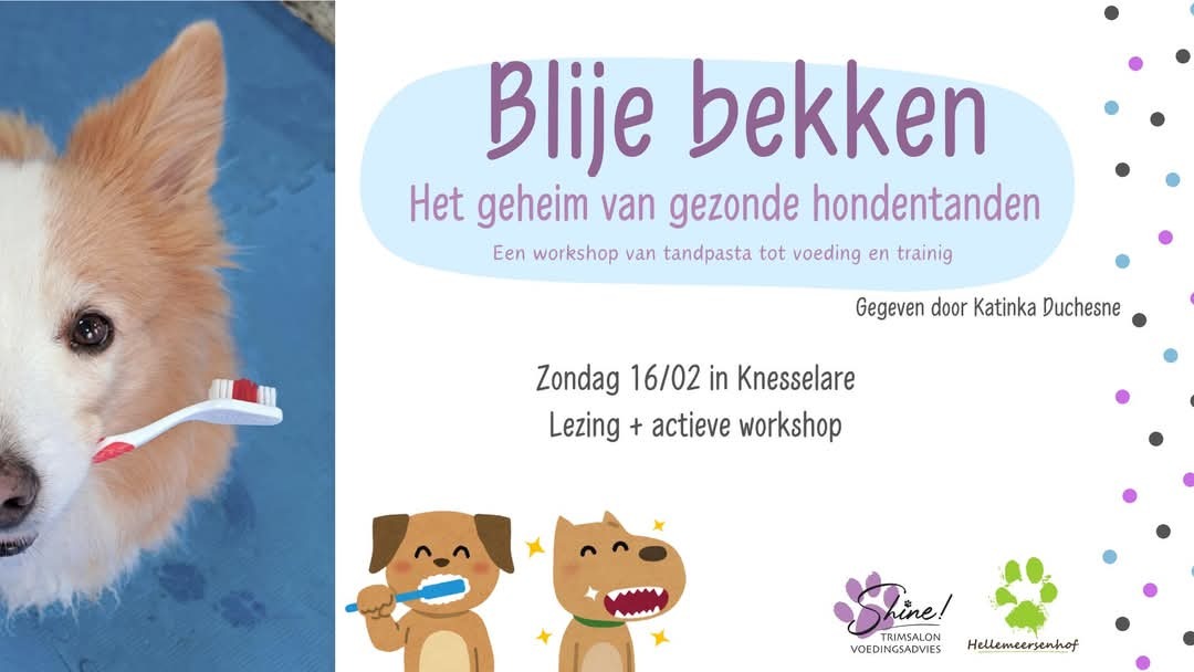 Workshop/lezing Blije Bekken – Het geheim van gezonde hondentanden!